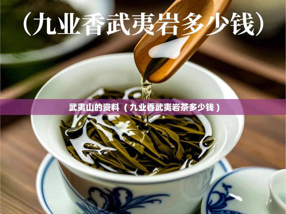  武夷山的资料  ( 九业香武夷岩茶多少钱 )