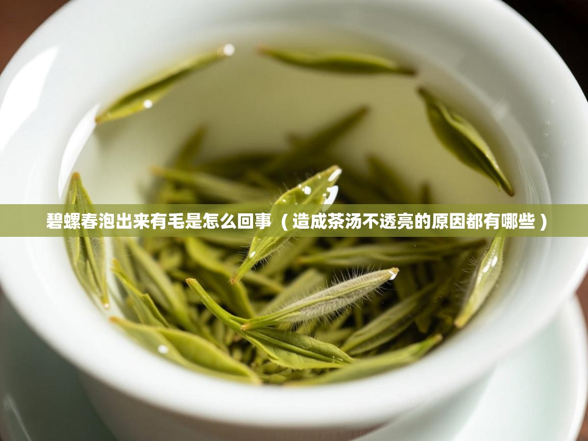  碧螺春泡出来有毛是怎么回事  ( 造成茶汤不透亮的原因都有哪些 )