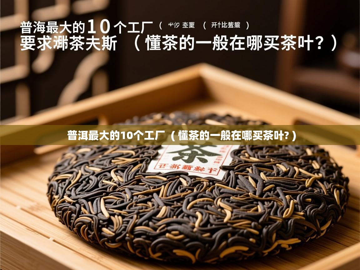  普洱最大的10个工厂  ( 懂茶的一般在哪买茶叶? )