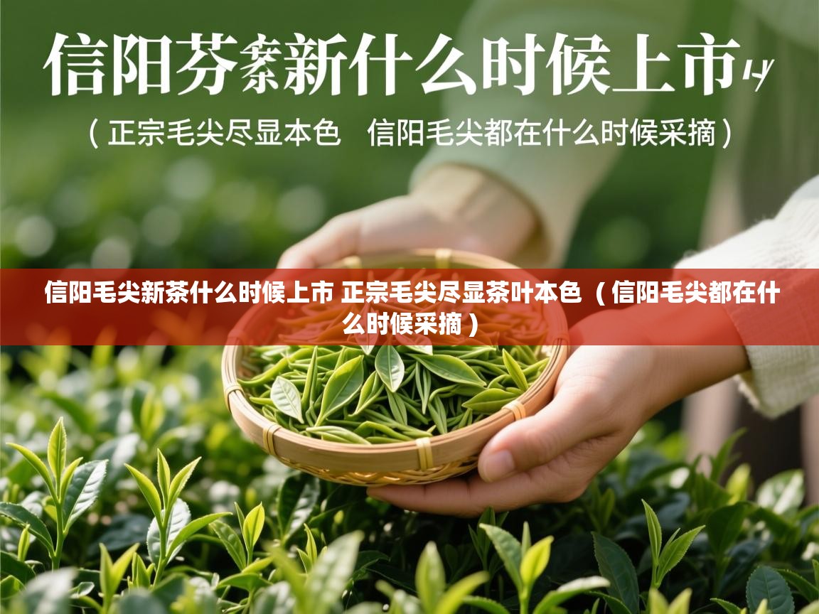 详细阅读: 信阳毛尖新茶什么时候上市 正宗毛尖尽显茶叶本色  ( 信阳毛尖都在什么时候采摘 )  信阳毛尖新茶什么时候上市 正宗毛尖尽显茶叶本色  ( 信阳毛尖都在什么时候采摘 )