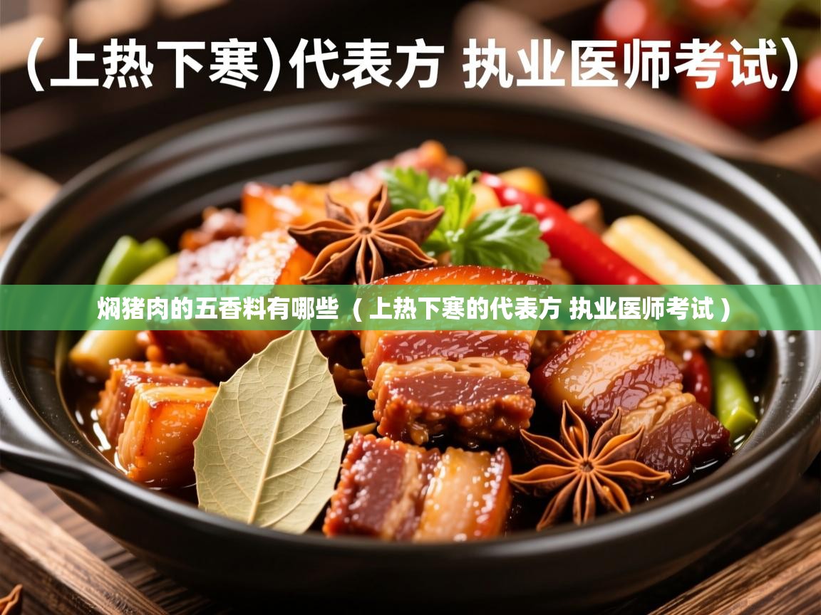  焖猪肉的五香料有哪些  ( 上热下寒的代表方 执业医师考试 )