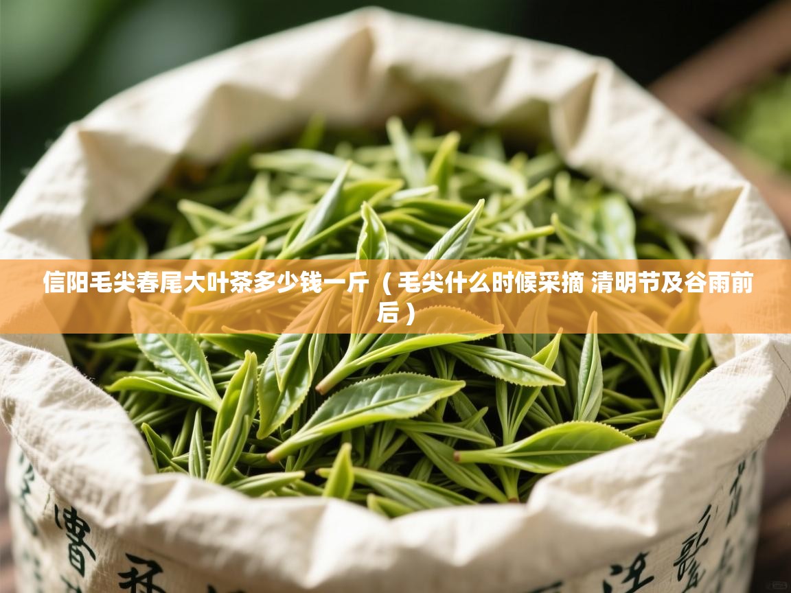 详细阅读: 信阳毛尖春尾大叶茶多少钱一斤  ( 毛尖什么时候采摘 清明节及谷雨前后 )  信阳毛尖春尾大叶茶多少钱一斤  ( 毛尖什么时候采摘 清明节及谷雨前后 )