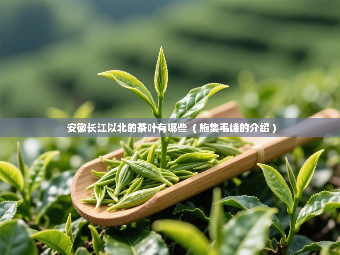  安徽长江以北的茶叶有哪些  ( 施集毛峰的介绍 )