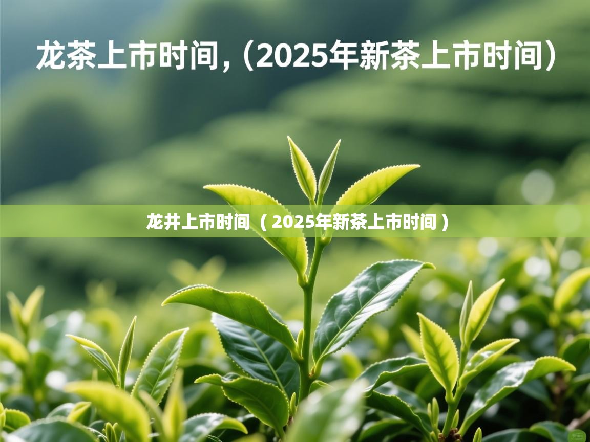  龙井上市时间  ( 2025年新茶上市时间 )