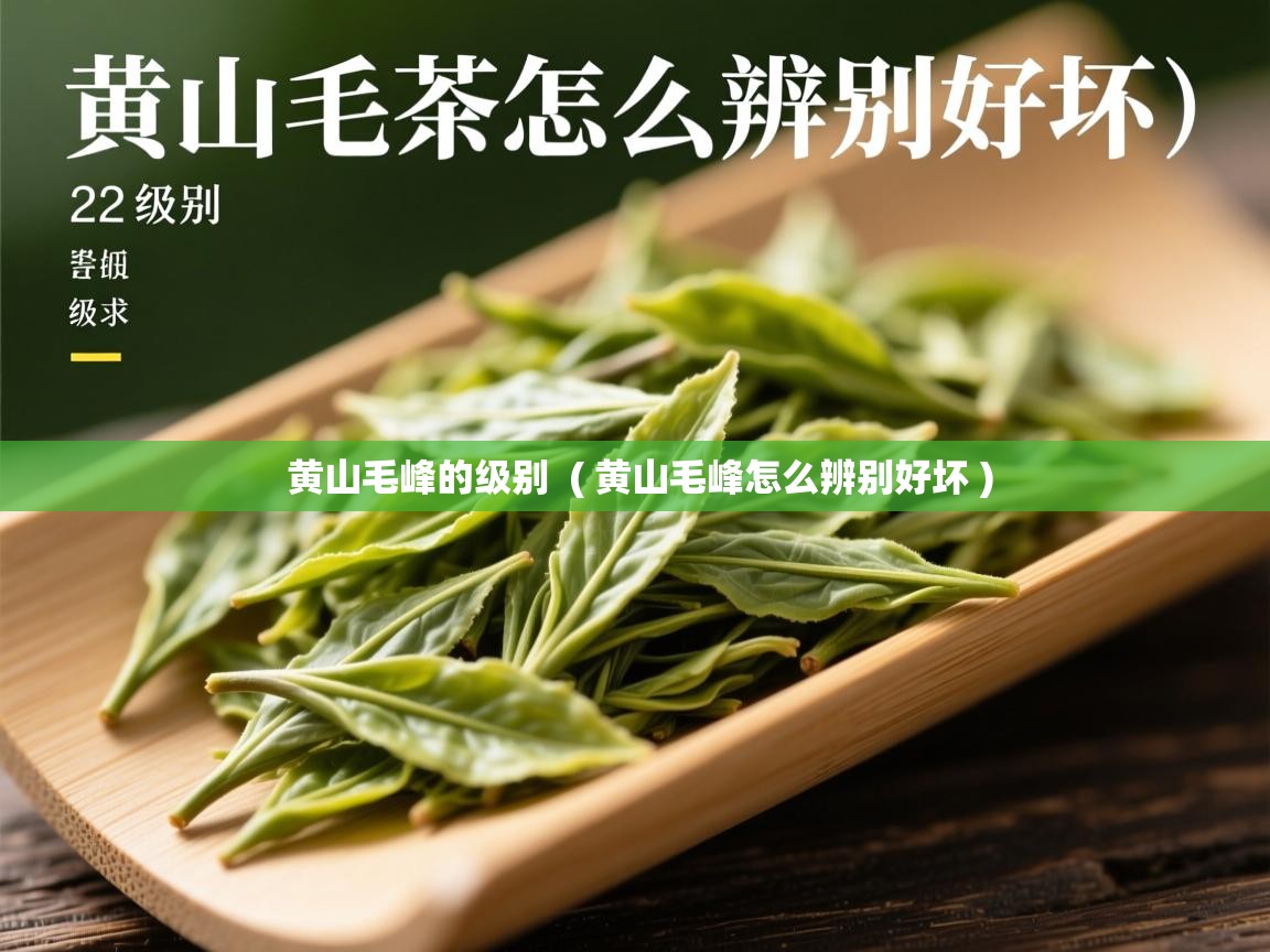  黄山毛峰的级别  ( 黄山毛峰怎么辨别好坏 )