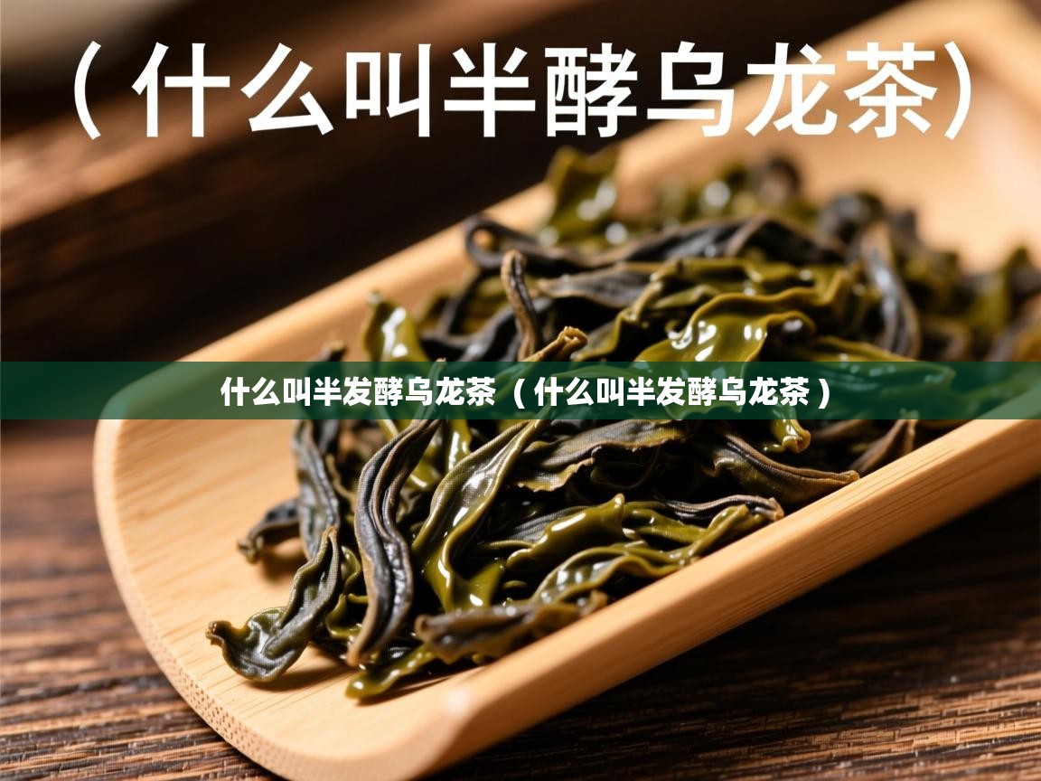  什么叫半发酵乌龙茶  ( 什么叫半发酵乌龙茶 )