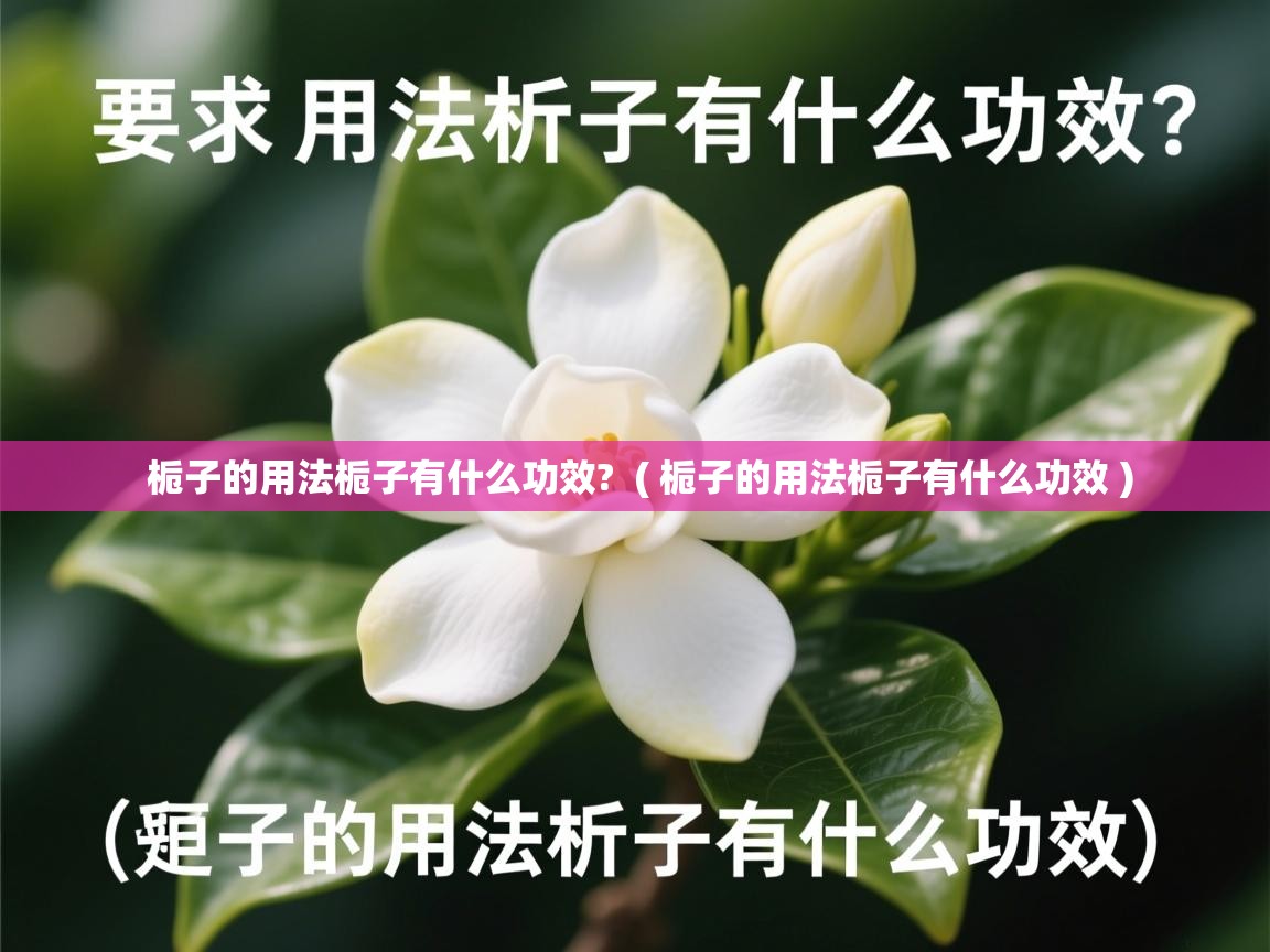  栀子的用法栀子有什么功效?  ( 栀子的用法栀子有什么功效 )