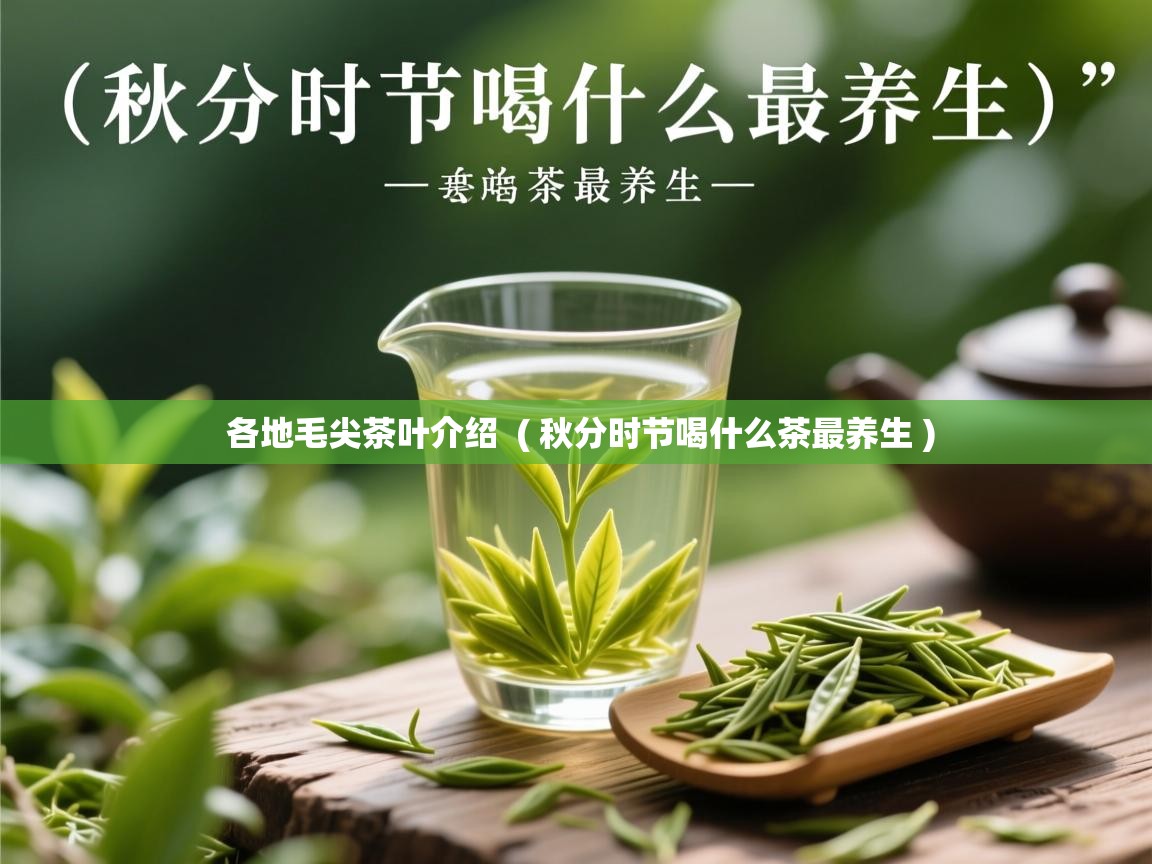  各地毛尖茶叶介绍  ( 秋分时节喝什么茶最养生 )
