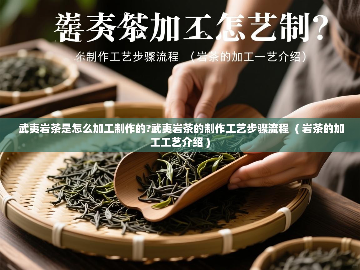  武夷岩茶是怎么加工制作的?武夷岩茶的制作工艺步骤流程  ( 岩茶的加工工艺介绍 )