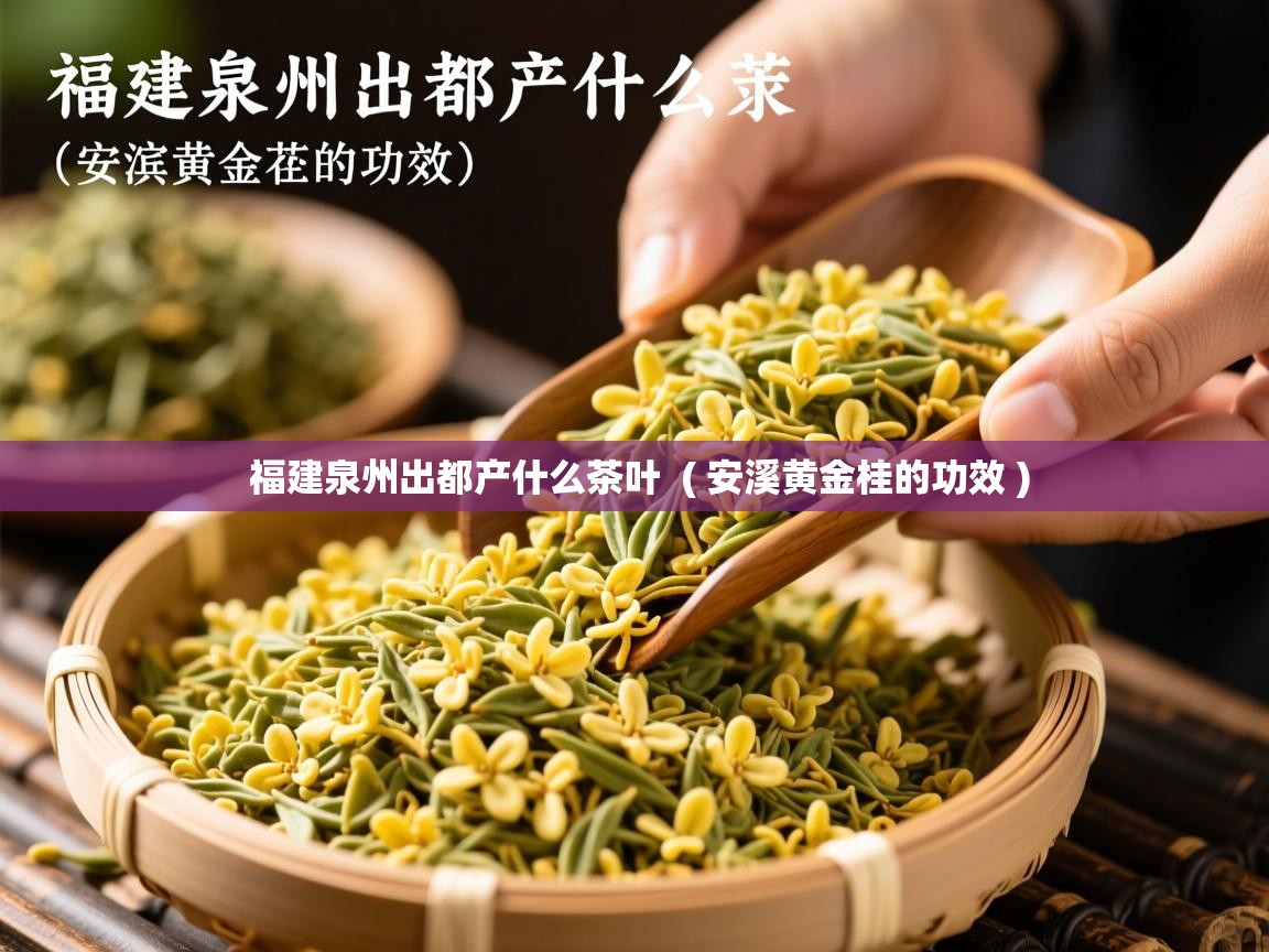  福建泉州出都产什么茶叶  ( 安溪黄金桂的功效 )