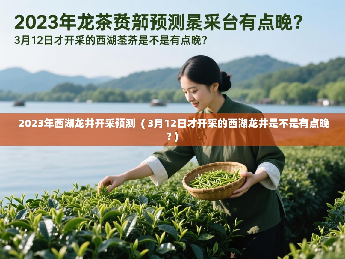  2023年西湖龙井开采预测  ( 3月12日才开采的西湖龙井是不是有点晚? )