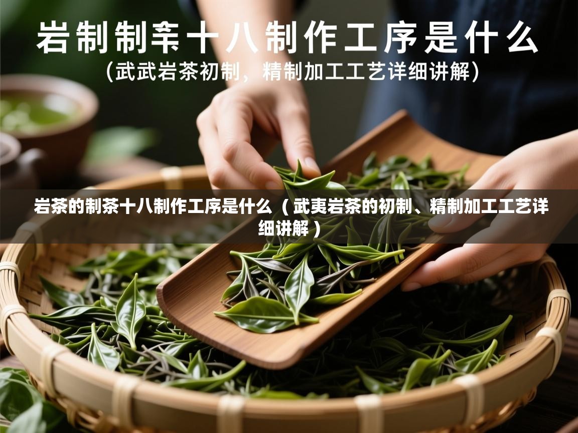  岩茶的制茶十八制作工序是什么  ( 武夷岩茶的初制、精制加工工艺详细讲解 )