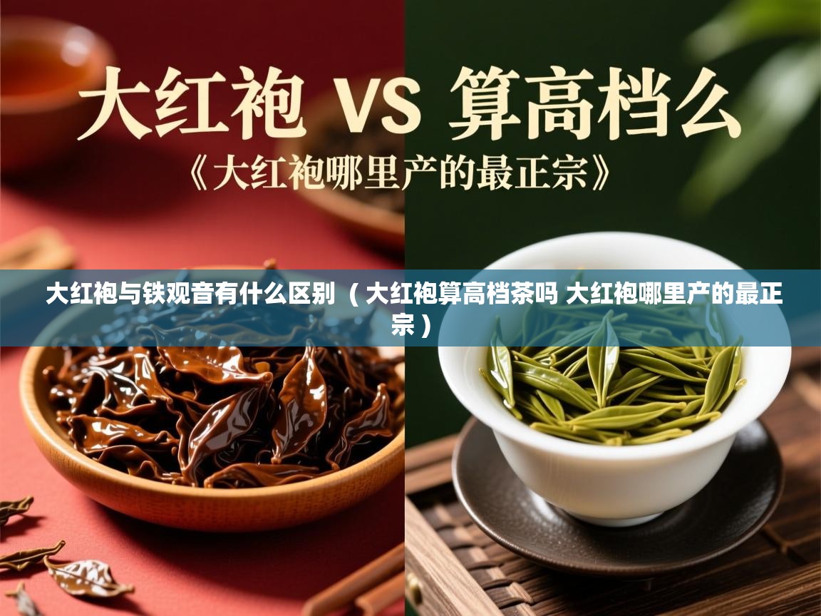  大红袍与铁观音有什么区别  ( 大红袍算高档茶吗 大红袍哪里产的最正宗 )