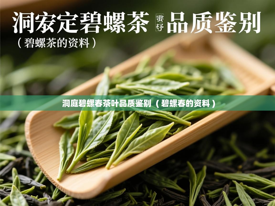  洞庭碧螺春茶叶品质鉴别  ( 碧螺春的资料 )