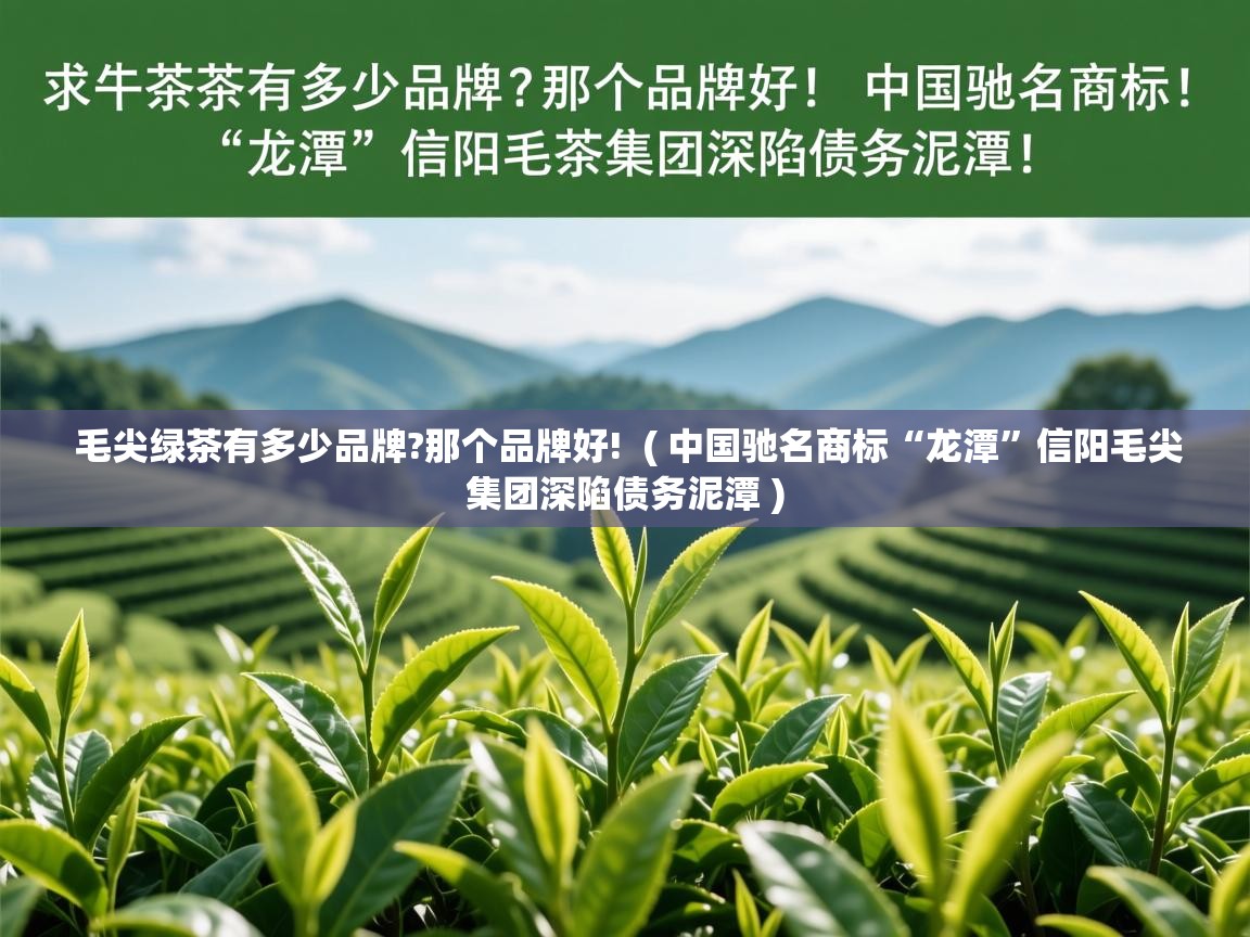 详细阅读: 毛尖绿茶有多少品牌?那个品牌好!  ( 中国驰名商标“龙潭”信阳毛尖集团深陷债务泥潭 )  毛尖绿茶有多少品牌?那个品牌好!  ( 中国驰名商标“龙潭”信阳毛尖集团深陷债务泥潭 )