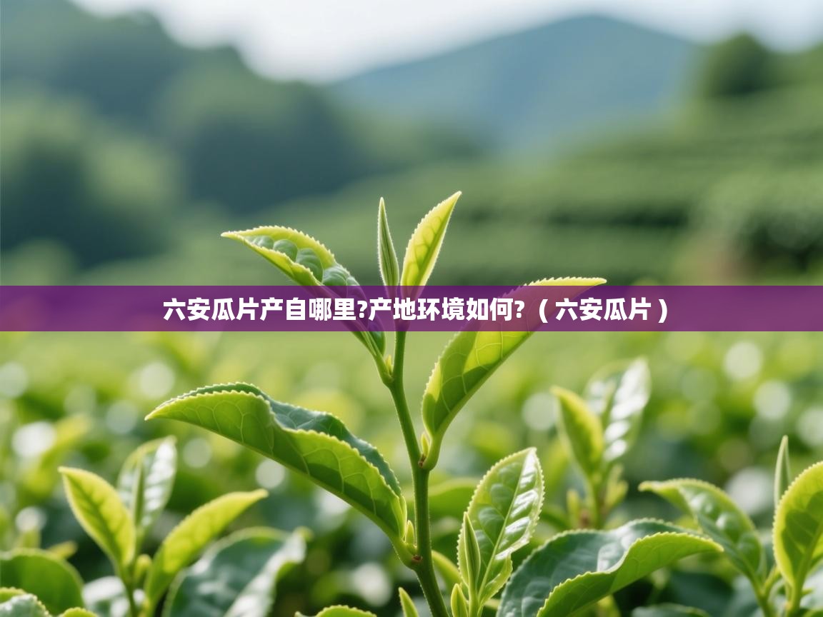 详细阅读: 六安瓜片产自哪里?产地环境如何?  ( 六安瓜片 )  六安瓜片产自哪里?产地环境如何?  ( 六安瓜片 )