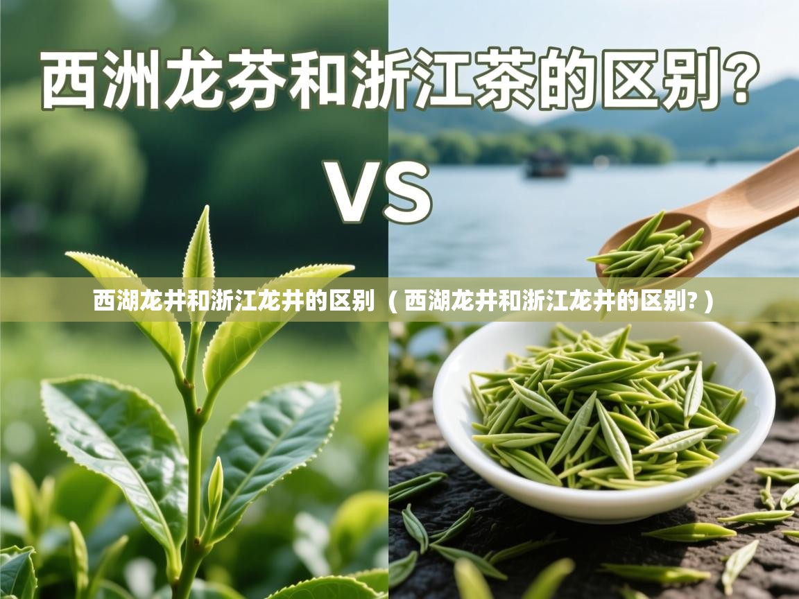  西湖龙井和浙江龙井的区别  ( 西湖龙井和浙江龙井的区别? )