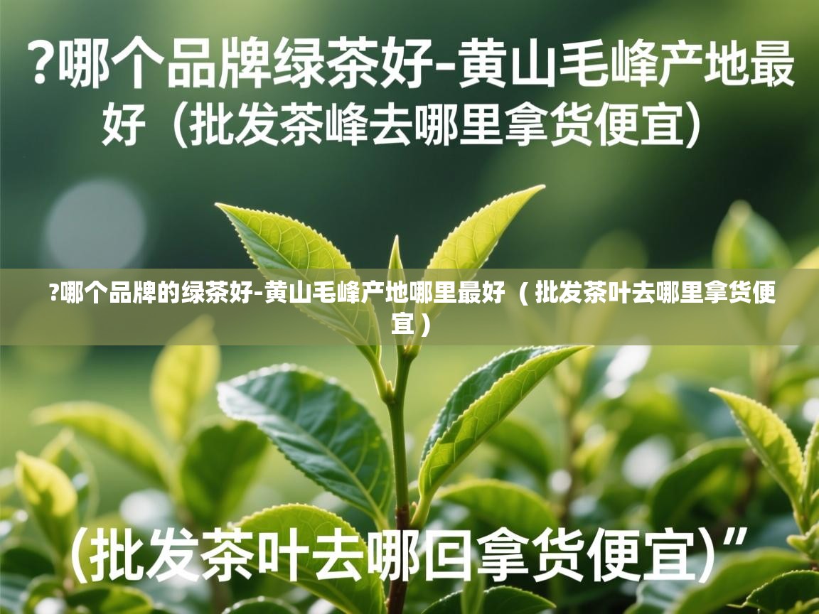  ?哪个品牌的绿茶好-黄山毛峰产地哪里最好  ( 批发茶叶去哪里拿货便宜 )