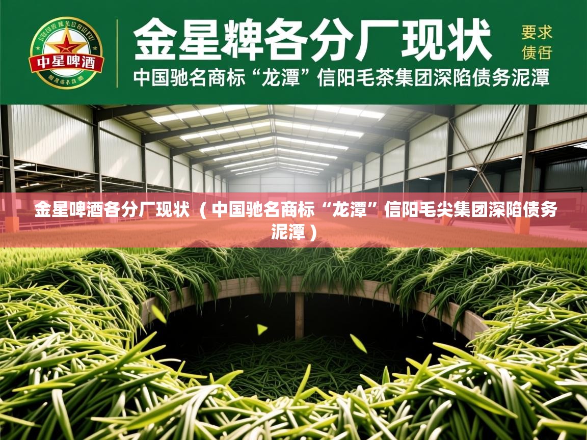 详细阅读: 金星啤酒各分厂现状  ( 中国驰名商标“龙潭”信阳毛尖集团深陷债务泥潭 )  金星啤酒各分厂现状  ( 中国驰名商标“龙潭”信阳毛尖集团深陷债务泥潭 )