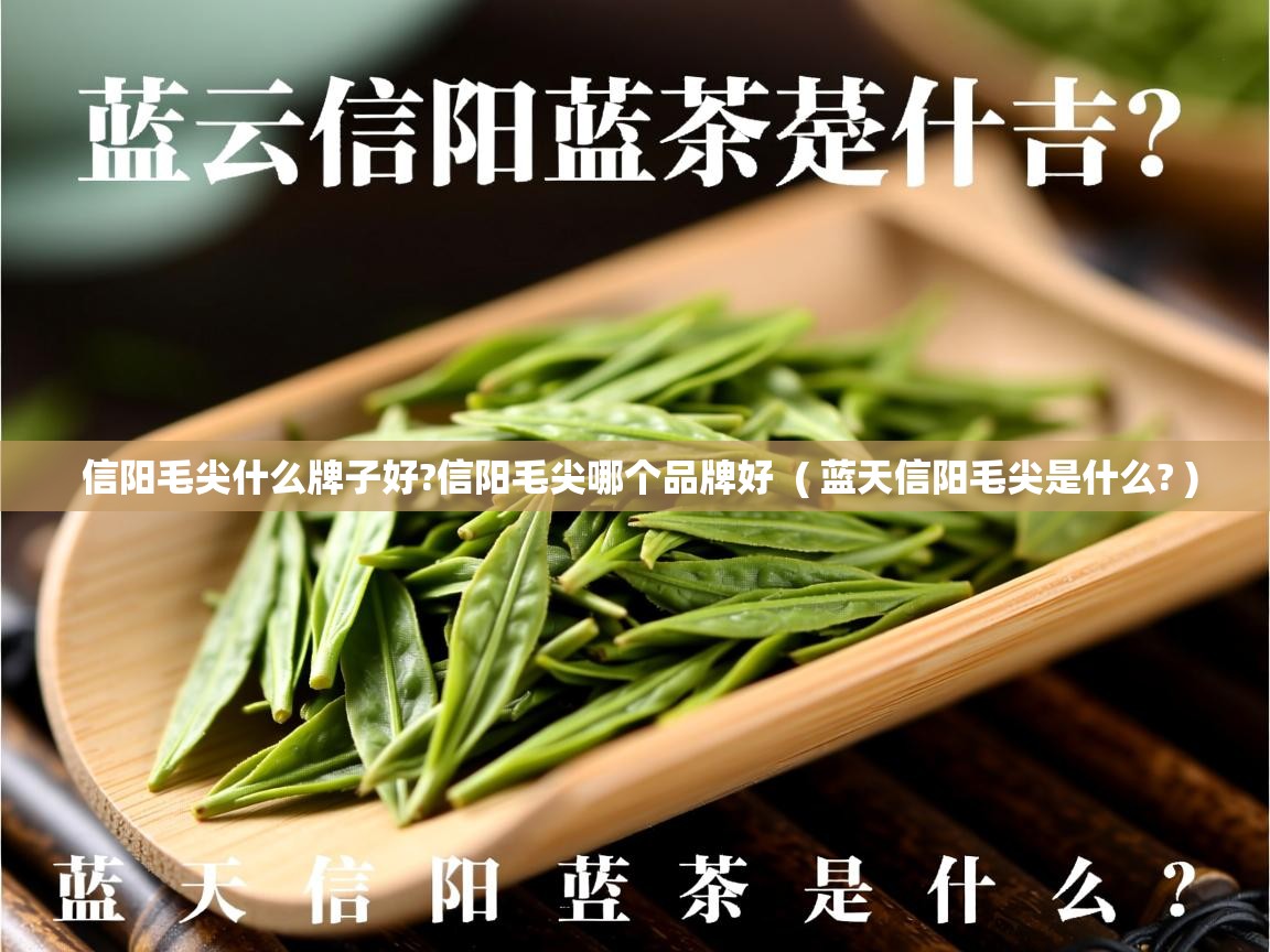 详细阅读: 信阳毛尖什么牌子好?信阳毛尖哪个品牌好  ( 蓝天信阳毛尖是什么? )  信阳毛尖什么牌子好?信阳毛尖哪个品牌好  ( 蓝天信阳毛尖是什么? )