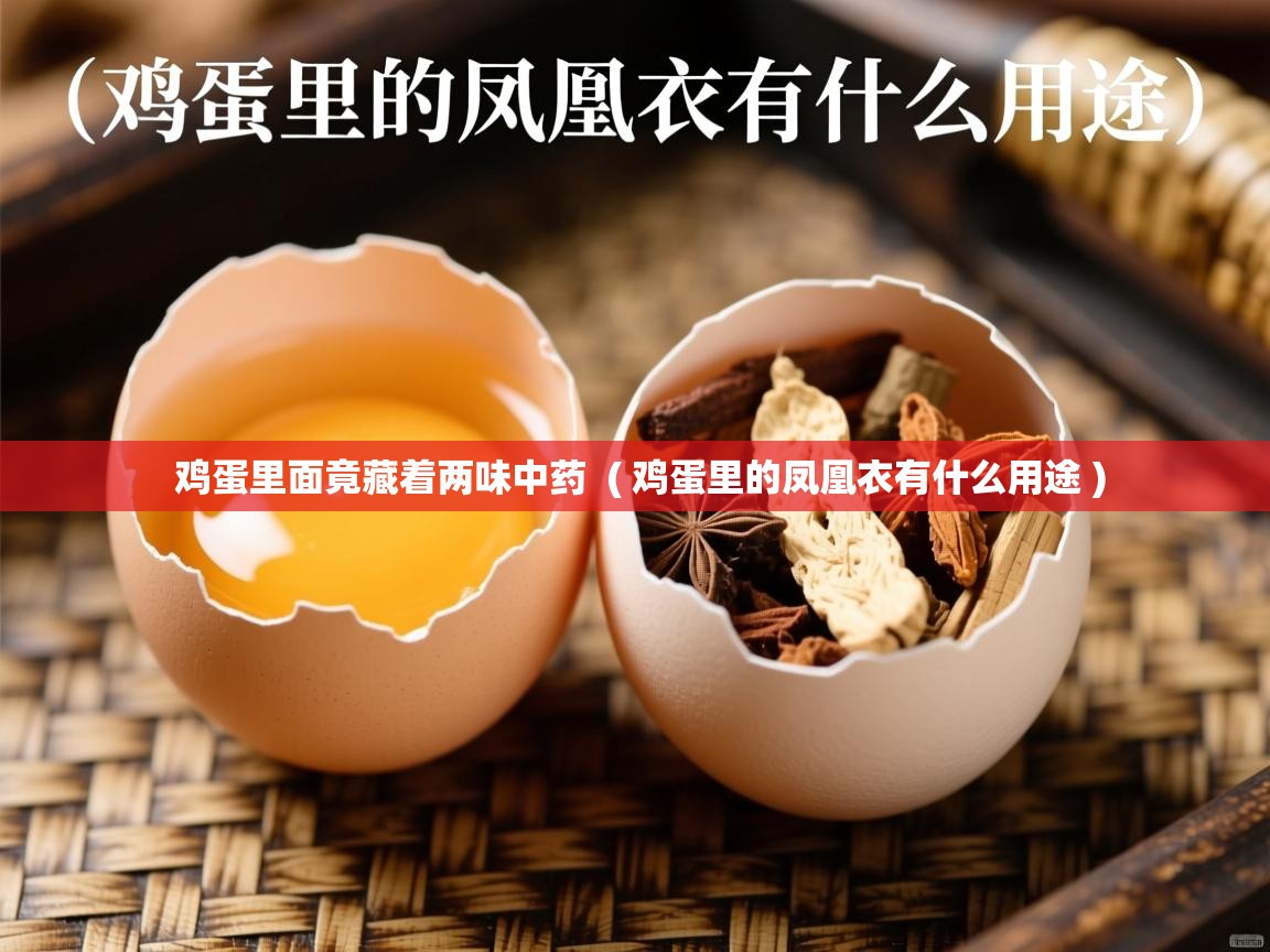 详细阅读: 鸡蛋里面竟藏着两味中药  ( 鸡蛋里的凤凰衣有什么用途 )  鸡蛋里面竟藏着两味中药  ( 鸡蛋里的凤凰衣有什么用途 )