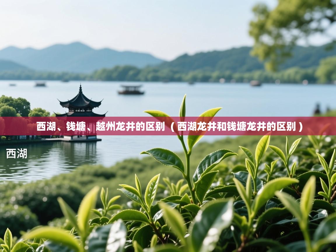  西湖、钱塘、越州龙井的区别  ( 西湖龙井和钱塘龙井的区别 )