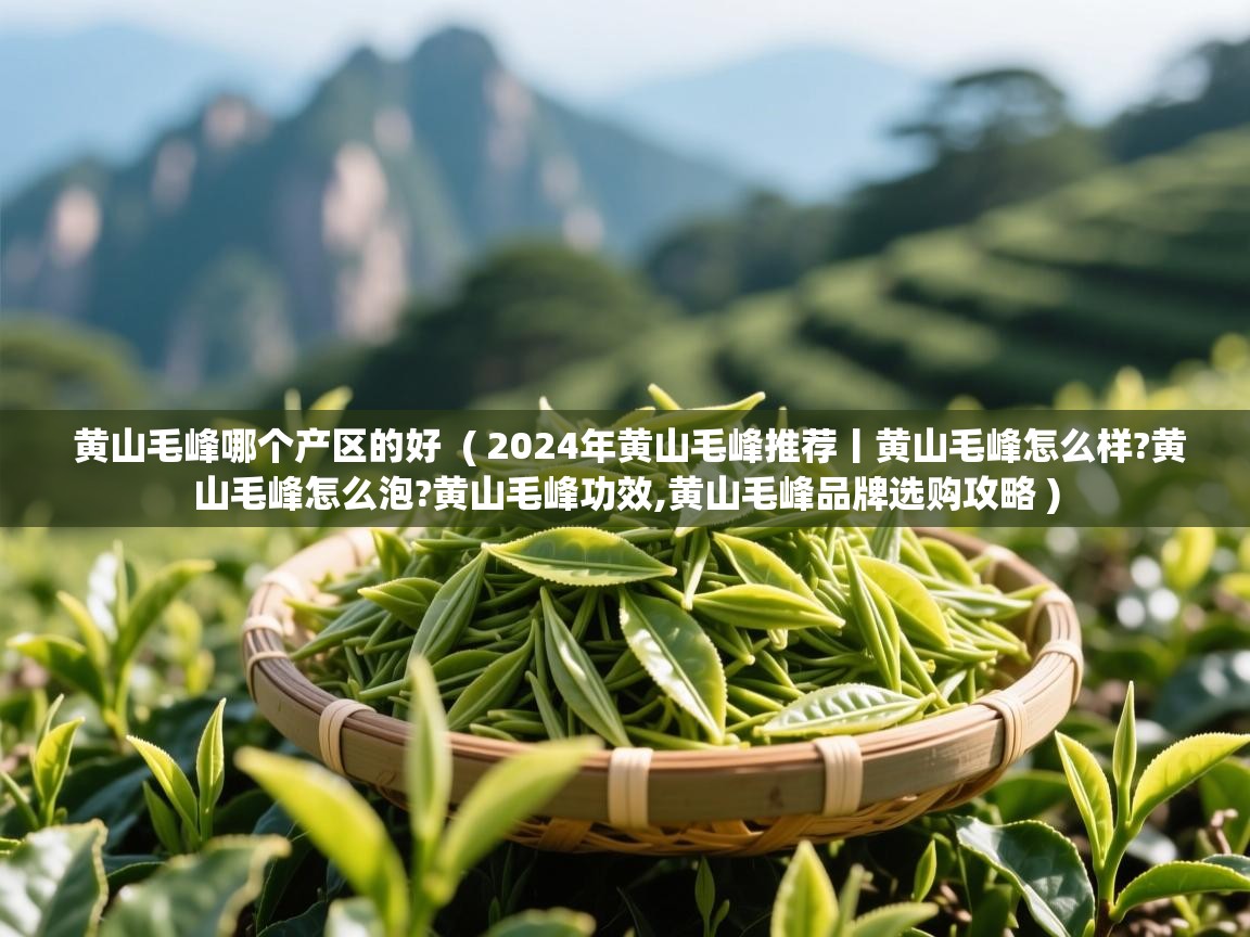  黄山毛峰哪个产区的好  ( 2024年黄山毛峰推荐丨黄山毛峰怎么样?黄山毛峰怎么泡?黄山毛峰功效,黄山毛峰品牌选购攻略 )
