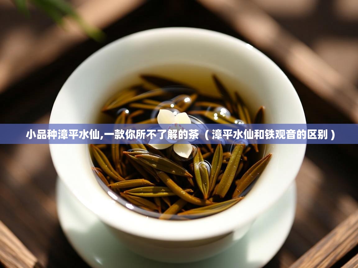  小品种漳平水仙,一款你所不了解的茶  ( 漳平水仙和铁观音的区别 )