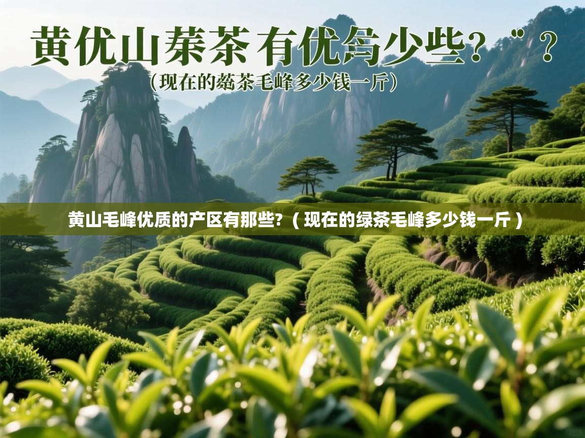  黄山毛峰优质的产区有那些?  ( 现在的绿茶毛峰多少钱一斤 )