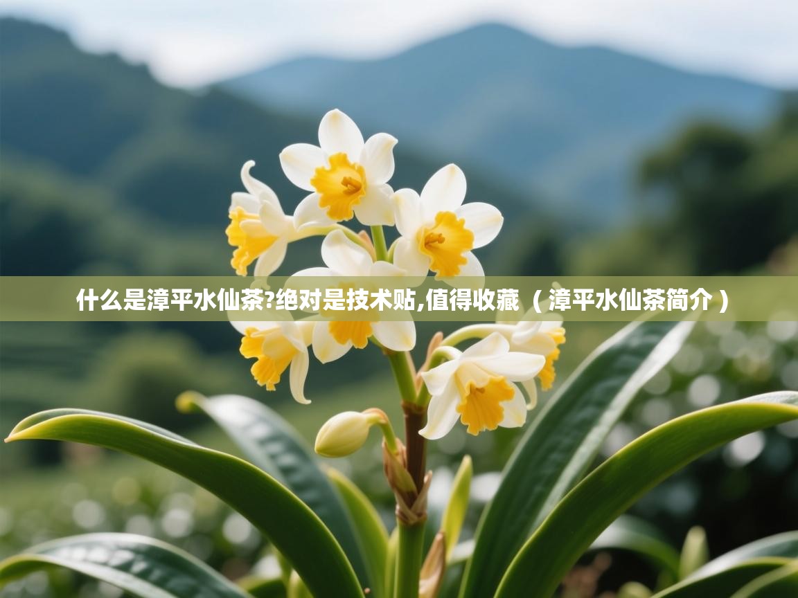  什么是漳平水仙茶?绝对是技术贴,值得收藏  ( 漳平水仙茶简介 )