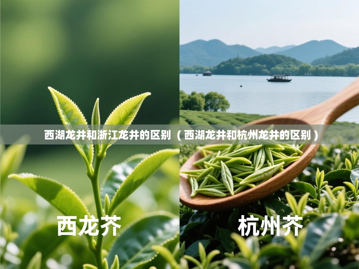  西湖龙井和浙江龙井的区别  ( 西湖龙井和杭州龙井的区别 )