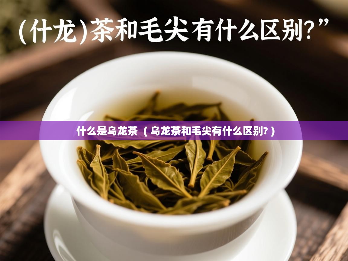  什么是乌龙茶  ( 乌龙茶和毛尖有什么区别? )