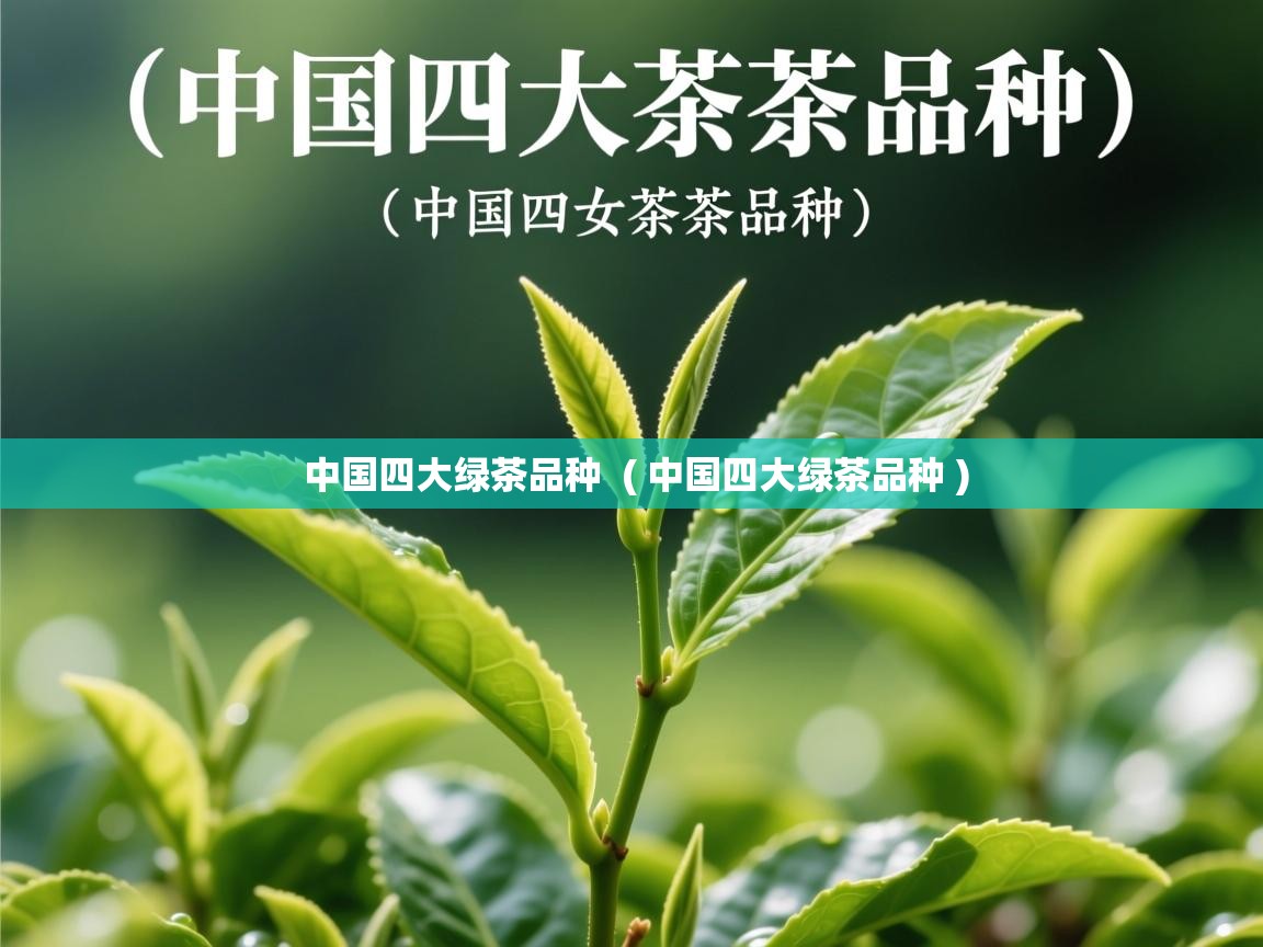 中国四大绿茶品种  ( 中国四大绿茶品种 )  中国四大绿茶品种  ( 中国四大绿茶品种 )