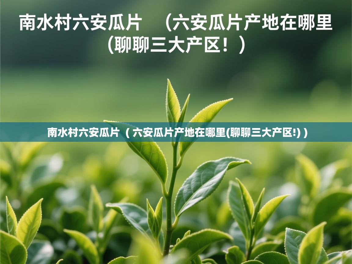 详细阅读: 南水村六安瓜片  ( 六安瓜片产地在哪里(聊聊三大产区!) )  南水村六安瓜片  ( 六安瓜片产地在哪里(聊聊三大产区!) )