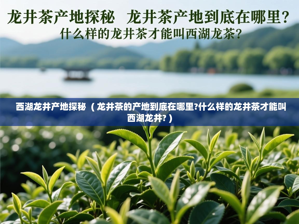  西湖龙井产地探秘  ( 龙井茶的产地到底在哪里?什么样的龙井茶才能叫西湖龙井? )