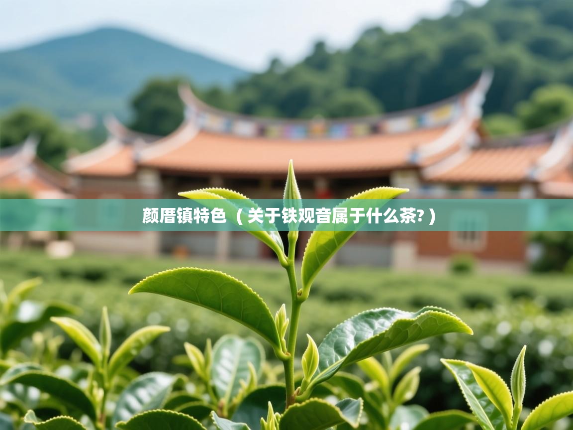  颜厝镇特色  ( 关于铁观音属于什么茶? )
