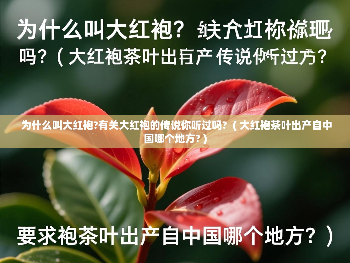  为什么叫大红袍?有关大红袍的传说你听过吗?  ( 大红袍茶叶出产自中国哪个地方? )