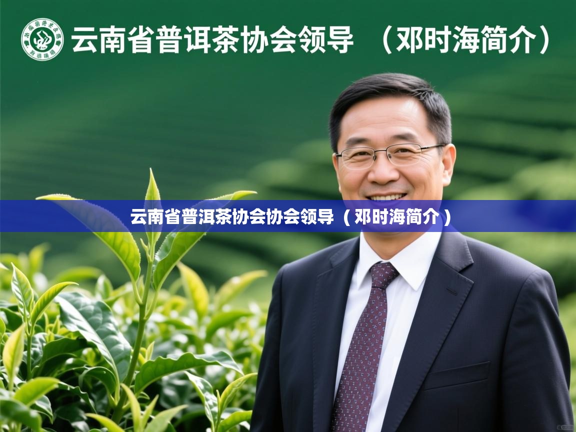  云南省普洱茶协会协会领导  ( 邓时海简介 )