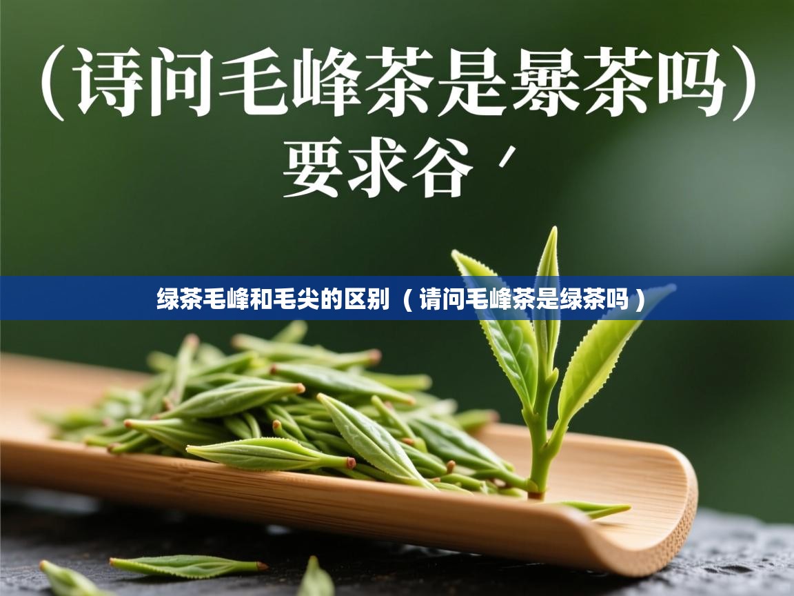  绿茶毛峰和毛尖的区别  ( 请问毛峰茶是绿茶吗 )