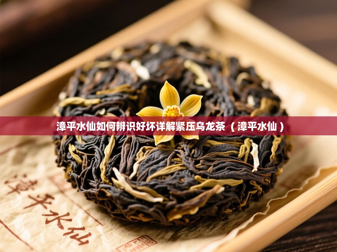  漳平水仙如何辨识好坏详解紧压乌龙茶  ( 漳平水仙 )
