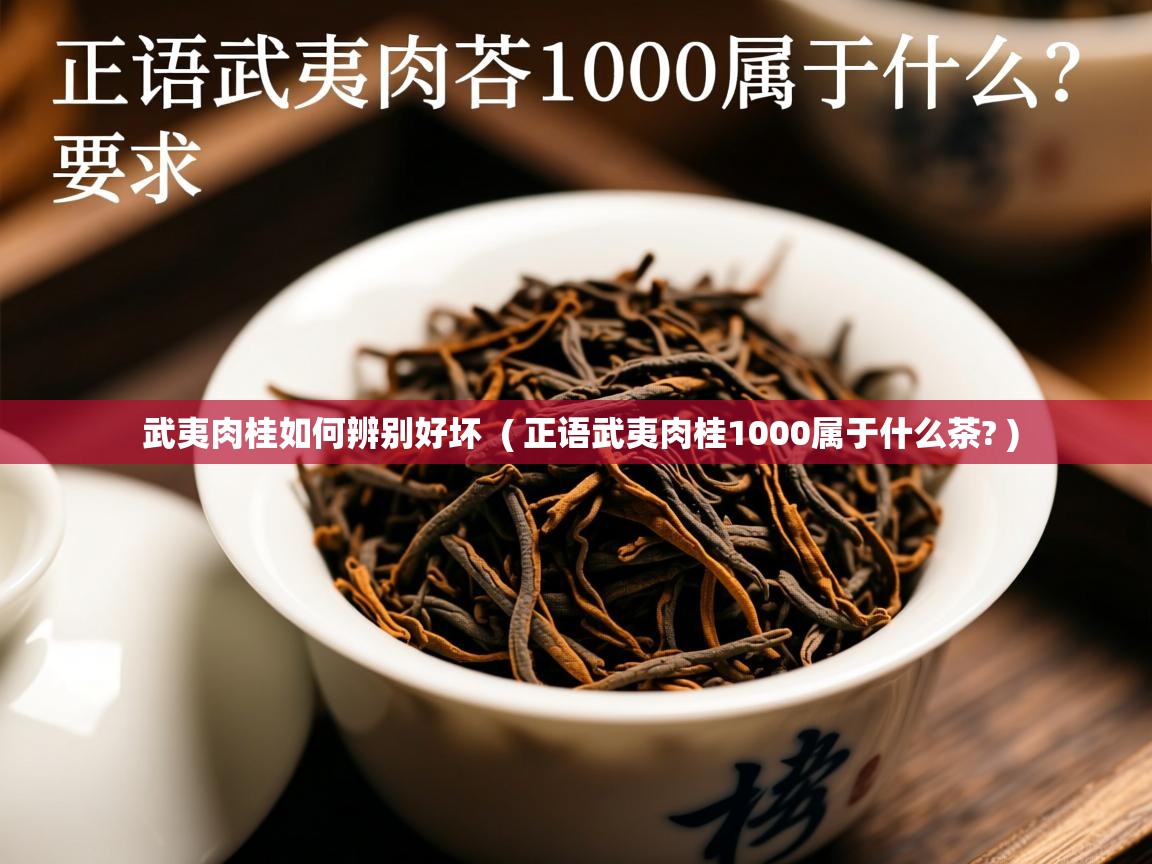  武夷肉桂如何辨别好坏  ( 正语武夷肉桂1000属于什么茶? )