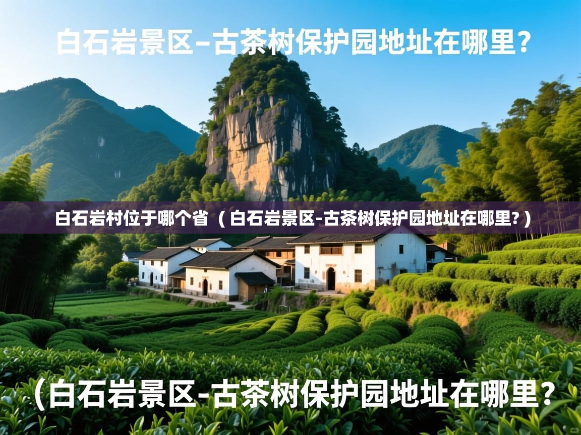  白石岩村位于哪个省  ( 白石岩景区-古茶树保护园地址在哪里? )