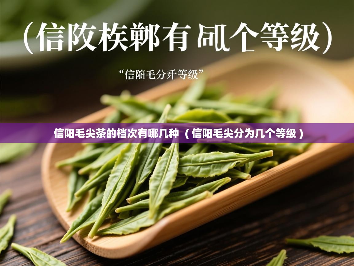 详细阅读: 信阳毛尖茶的档次有哪几种  ( 信阳毛尖分为几个等级 )  信阳毛尖茶的档次有哪几种  ( 信阳毛尖分为几个等级 )