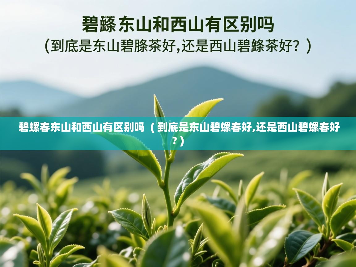  碧螺春东山和西山有区别吗  ( 到底是东山碧螺春好,还是西山碧螺春好? )