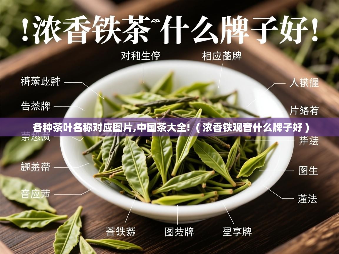  各种茶叶名称对应图片,中国茶大全!  ( 浓香铁观音什么牌子好 )