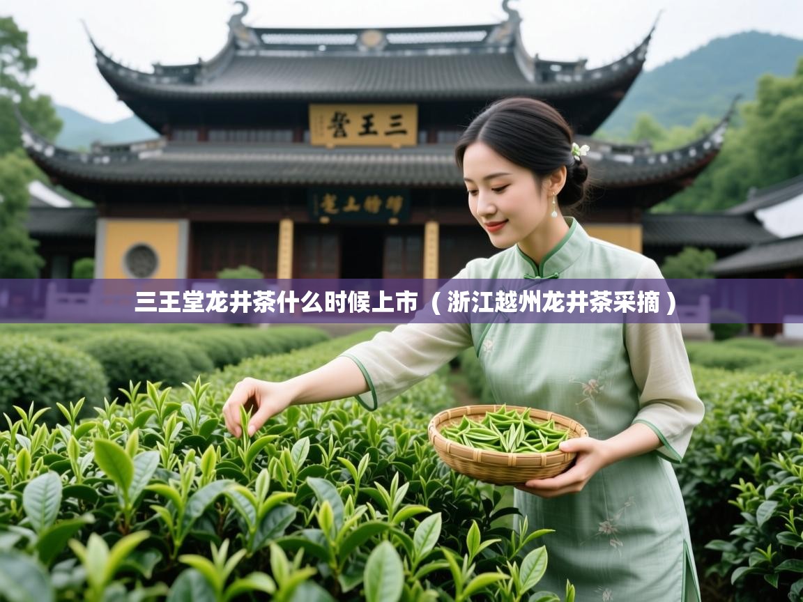  三王堂龙井茶什么时候上市  ( 浙江越州龙井茶采摘 )