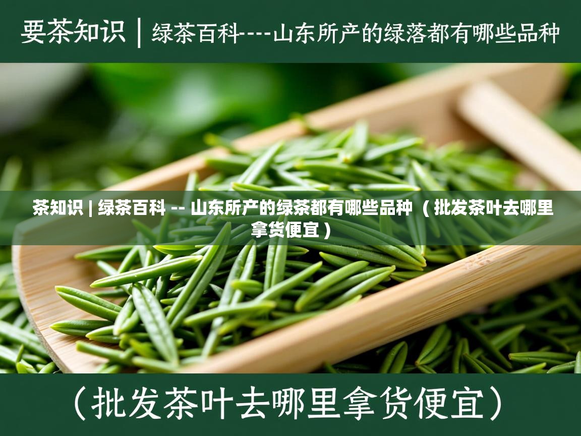  茶知识 | 绿茶百科 -- 山东所产的绿茶都有哪些品种  ( 批发茶叶去哪里拿货便宜 )