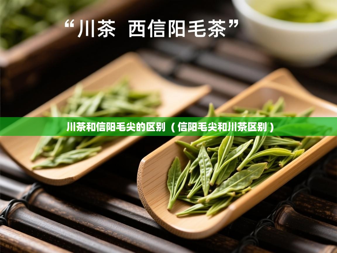 详细阅读: 川茶和信阳毛尖的区别  ( 信阳毛尖和川茶区别 )  川茶和信阳毛尖的区别  ( 信阳毛尖和川茶区别 )