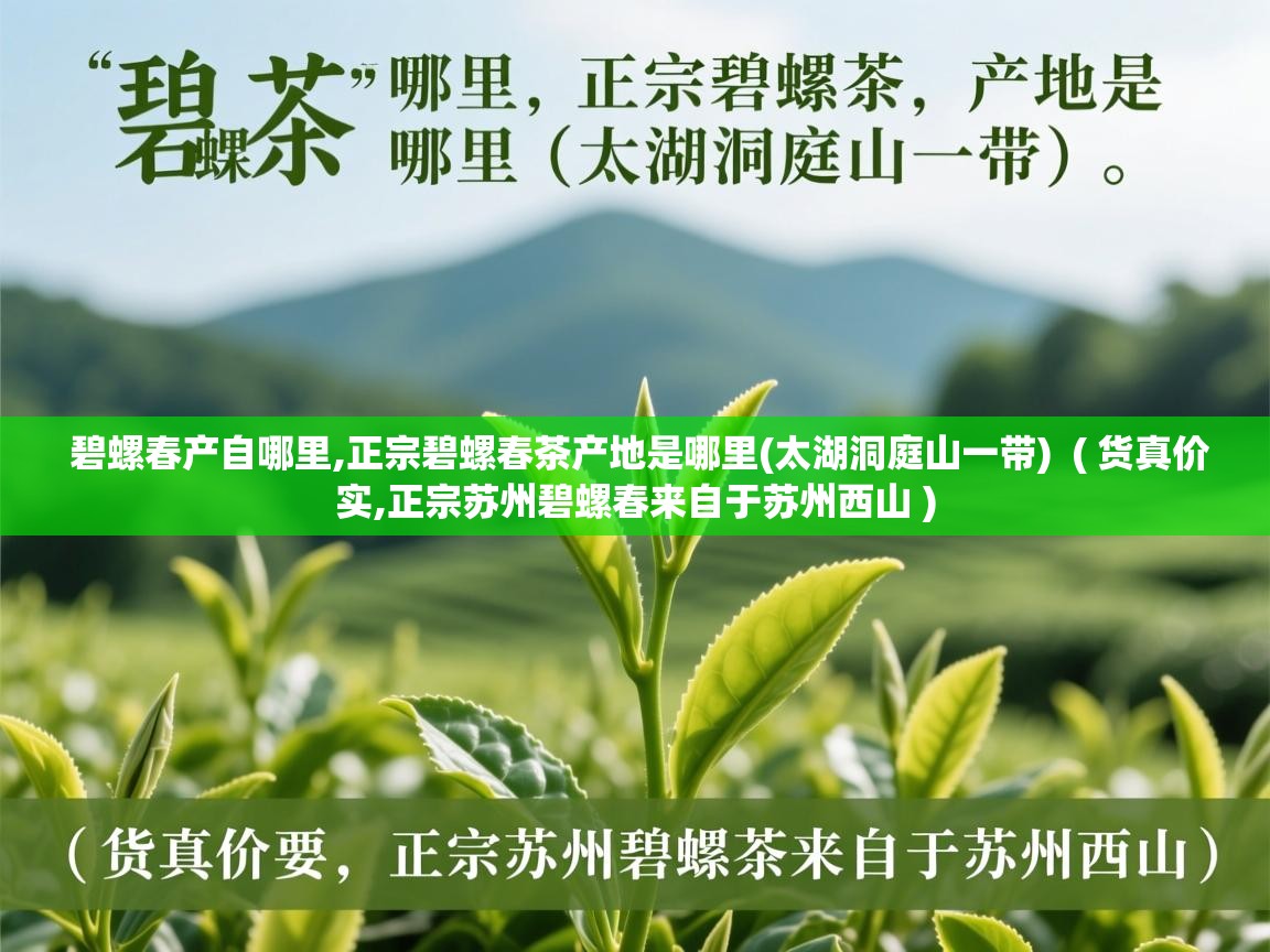  碧螺春产自哪里,正宗碧螺春茶产地是哪里(太湖洞庭山一带)  ( 货真价实,正宗苏州碧螺春来自于苏州西山 )