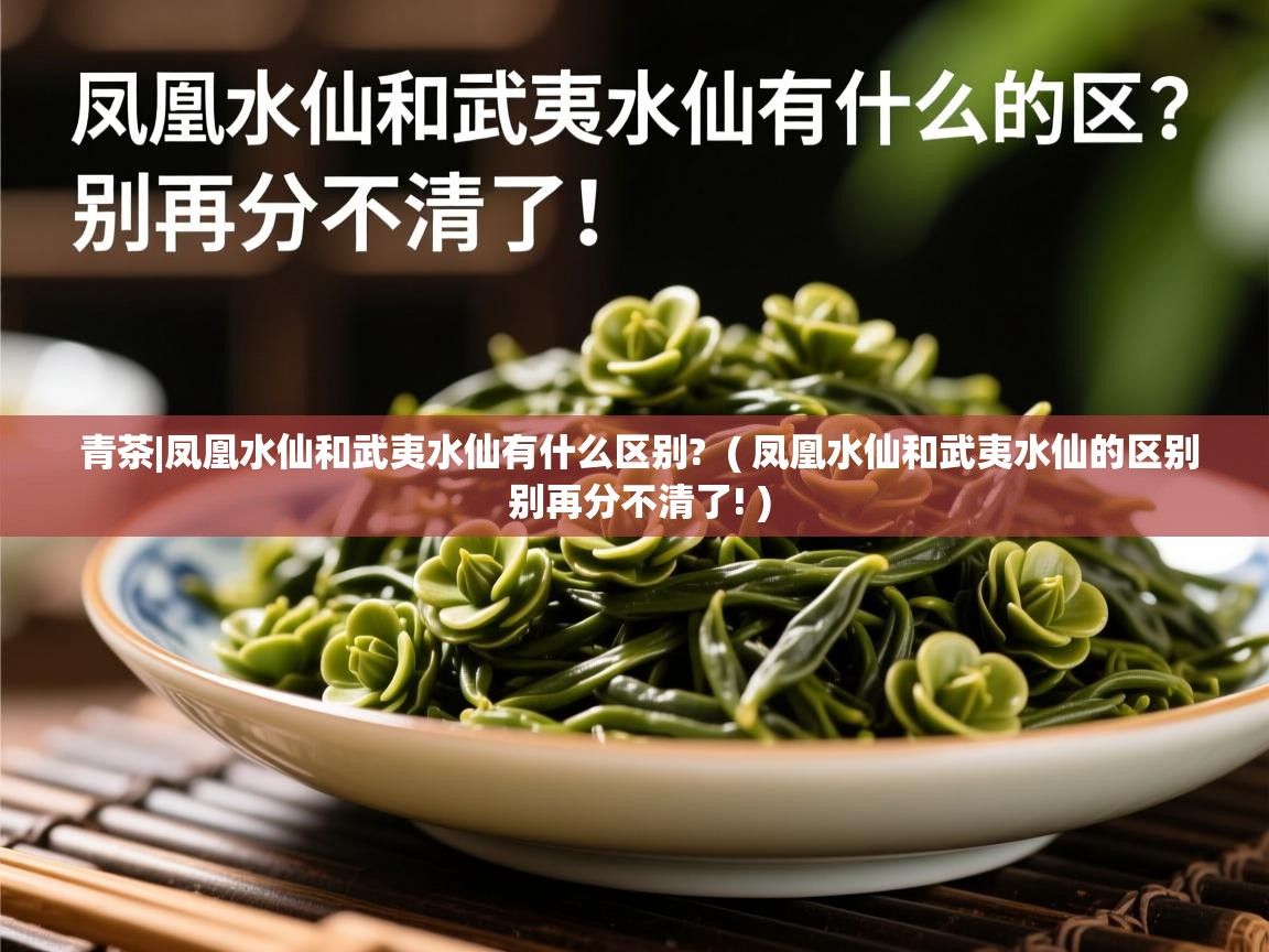  青茶|凤凰水仙和武夷水仙有什么区别?  ( 凤凰水仙和武夷水仙的区别 别再分不清了! )